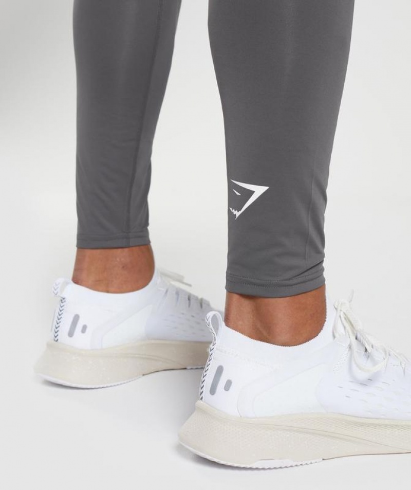 Baselayer Gymshark Element Baselayer Leggings Gris | HJXBV0249