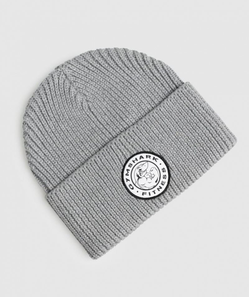 Beanies Gymshark Legacy Deep Cuff Beanie Gris Claro | NMARS3276