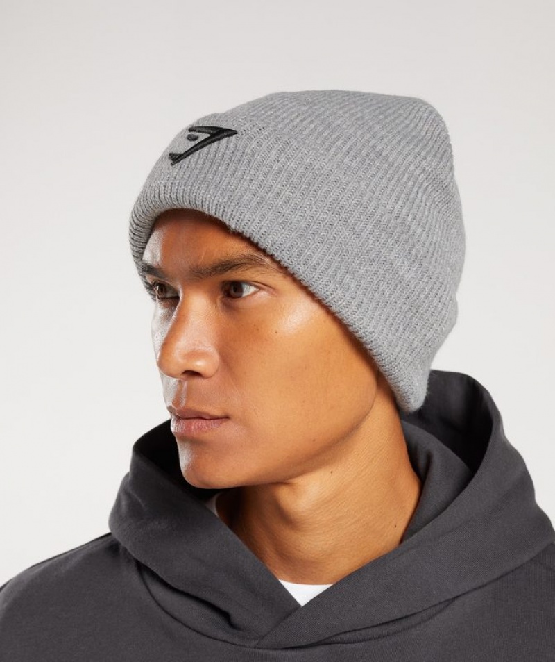 Beanies Gymshark Sharkhead Beanie Gris Claro | RCJKI5741