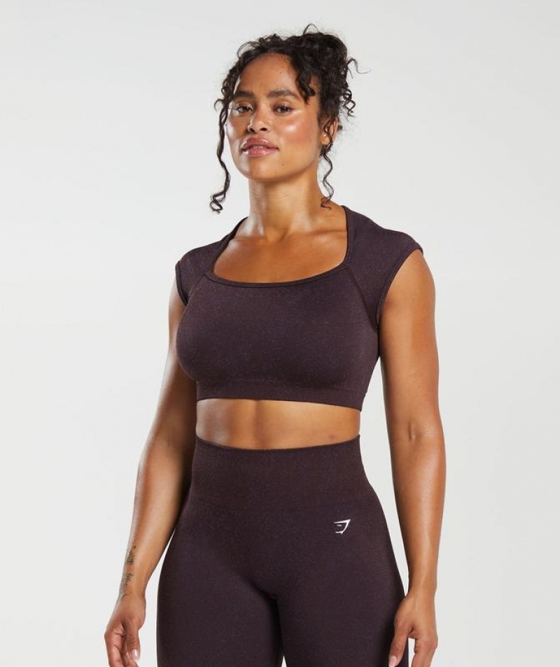 Crop Tops Gymshark Adapt Fleck Seamless Crop Top Moradas | HWRGE6843