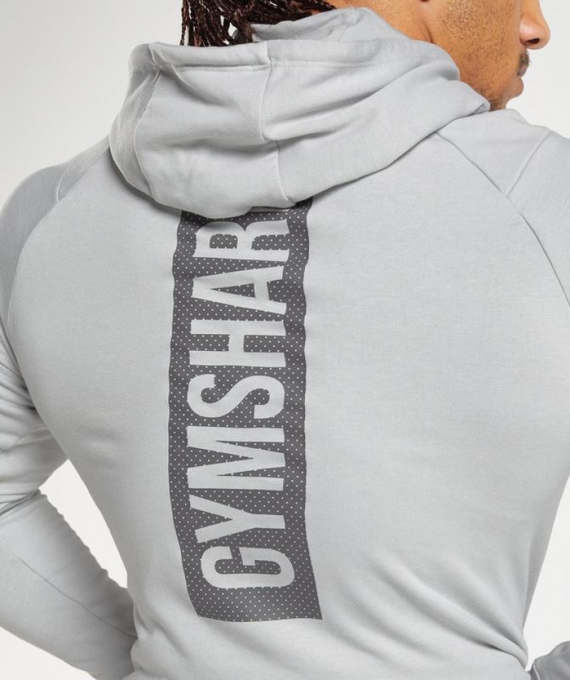 Hoodies Gymshark Bold Hoodie Gris Claro | UKICJ5721