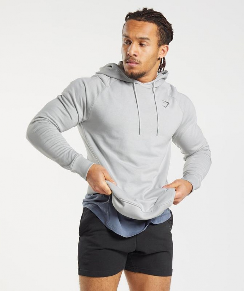 Hoodies Gymshark Bold Hoodie Gris Claro | UKICJ5721