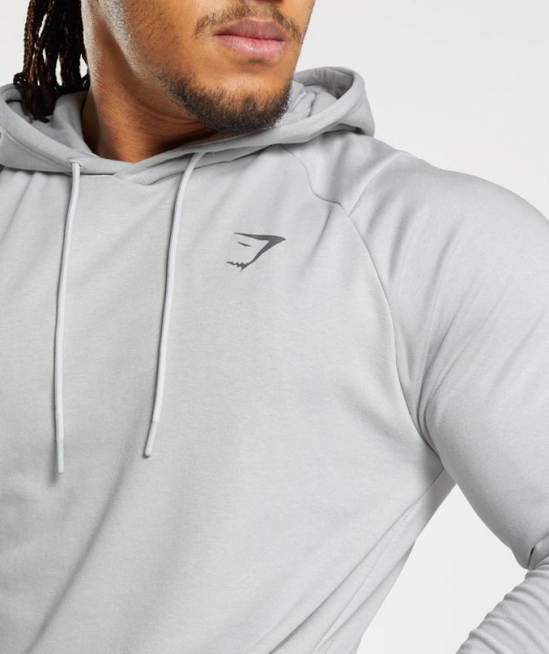 Hoodies Gymshark Bold Hoodie Gris Claro | UKICJ5721