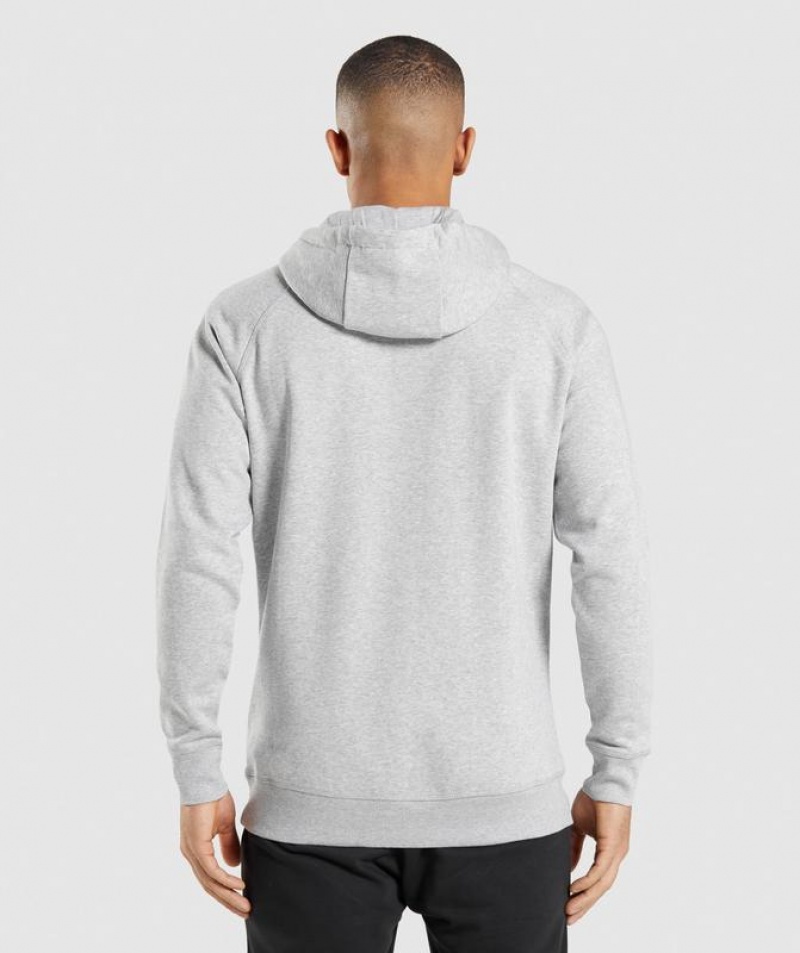 Hoodies Gymshark Crest Hoodie Gris Claro | SCEFK6759