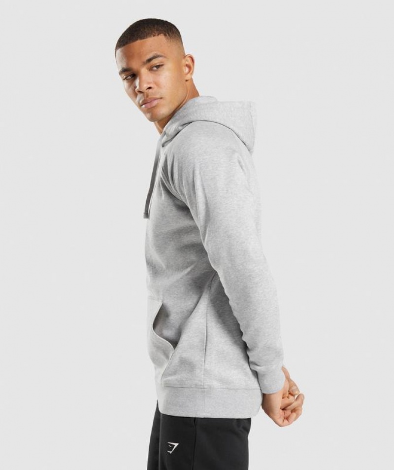 Hoodies Gymshark Crest Hoodie Gris Claro | SCEFK6759