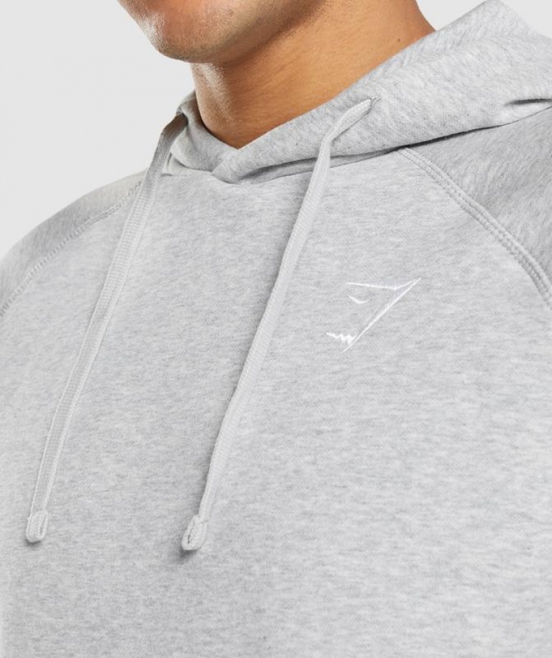 Hoodies Gymshark Crest Hoodie Gris Claro | SCEFK6759