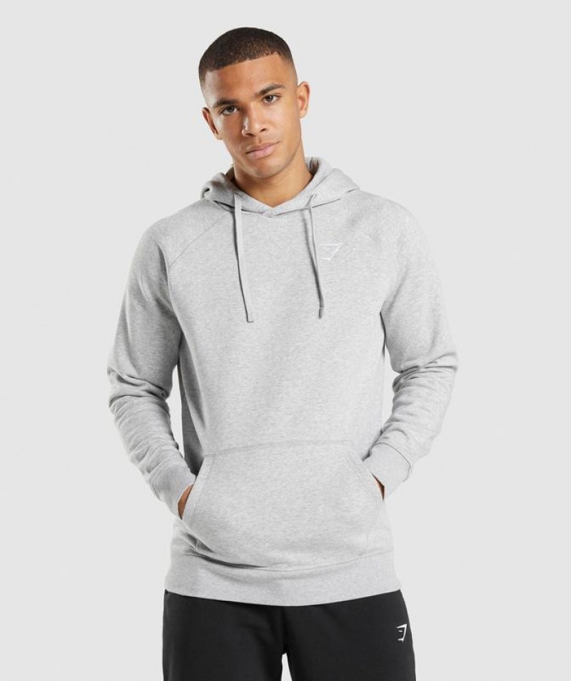 Hoodies Gymshark Crest Hoodie Gris Claro | SCEFK6759