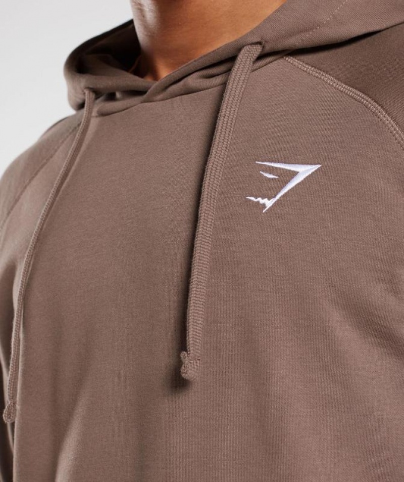 Hoodies Gymshark Crest Hoodie Marrones | YTXHO0261