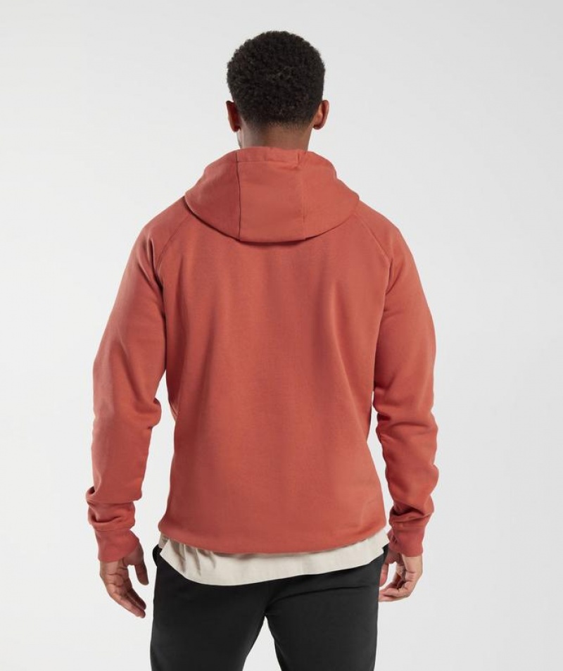 Hoodies Gymshark Crest Hoodie Rojas | ABJFS8293