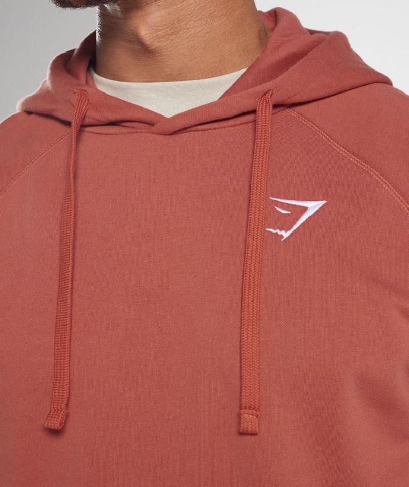 Hoodies Gymshark Crest Hoodie Rojas | ABJFS8293