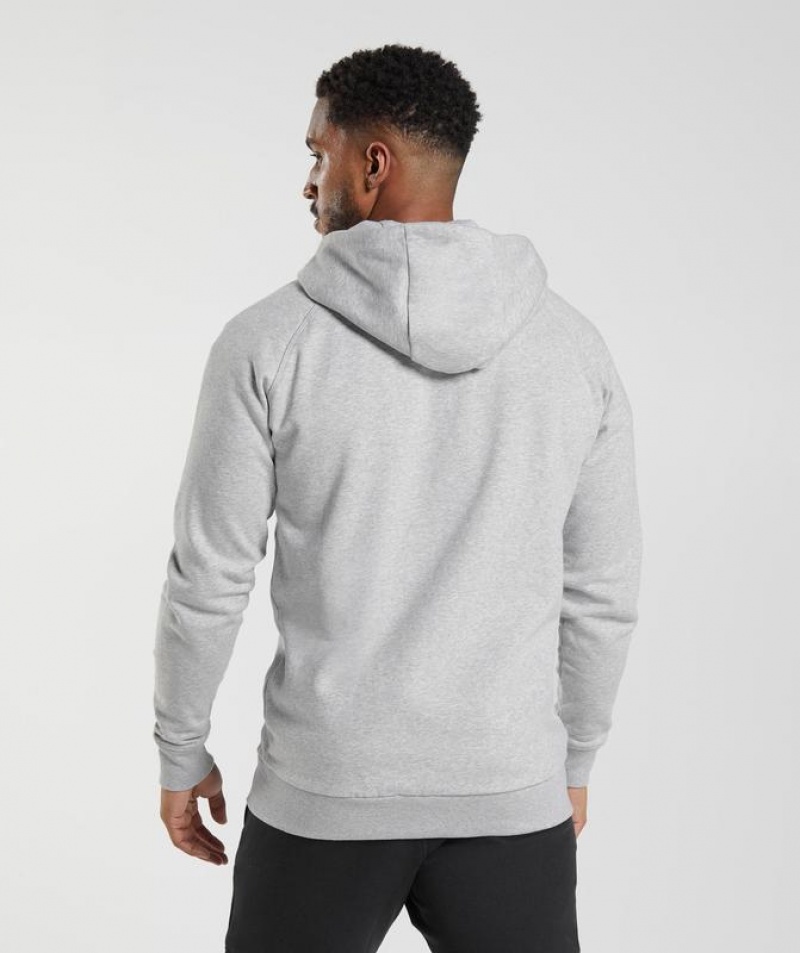 Hoodies Gymshark Crest Zip Up Hoodie Gris Claro | OTSWN7918