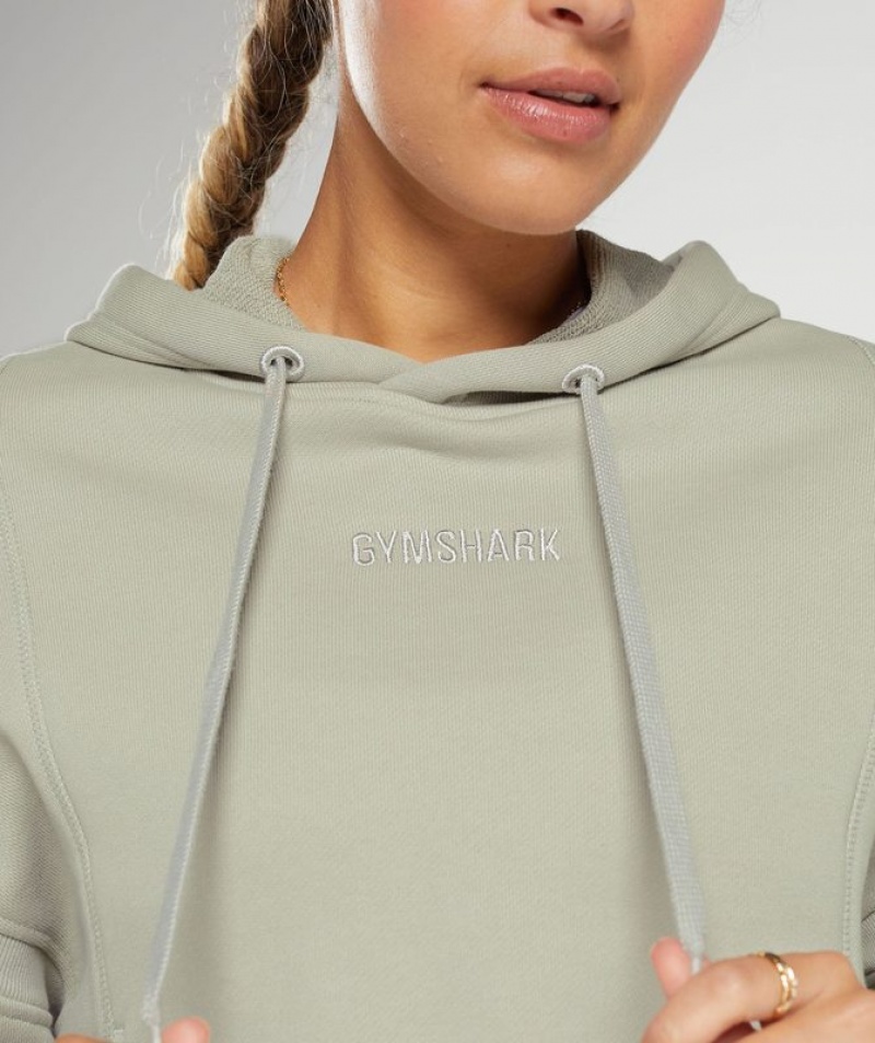 Hoodies Gymshark Heavyweight Loopback Sweat Hoodie Gris | YCSEU4652