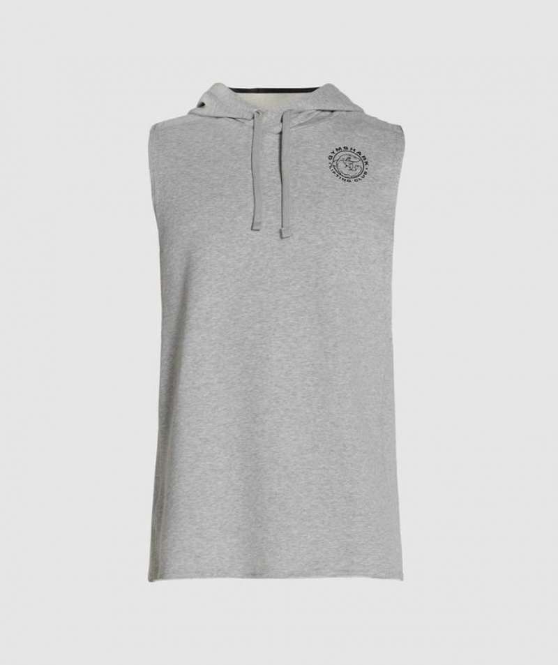 Hoodies Gymshark Legacy Drop Arm Hoodie Gris Claro | HKDVF2713