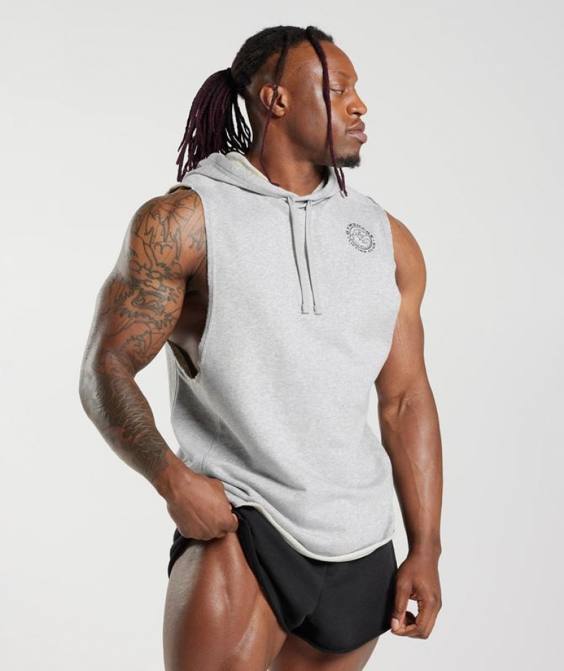 Hoodies Gymshark Legacy Drop Arm Hoodie Gris Claro | HKDVF2713