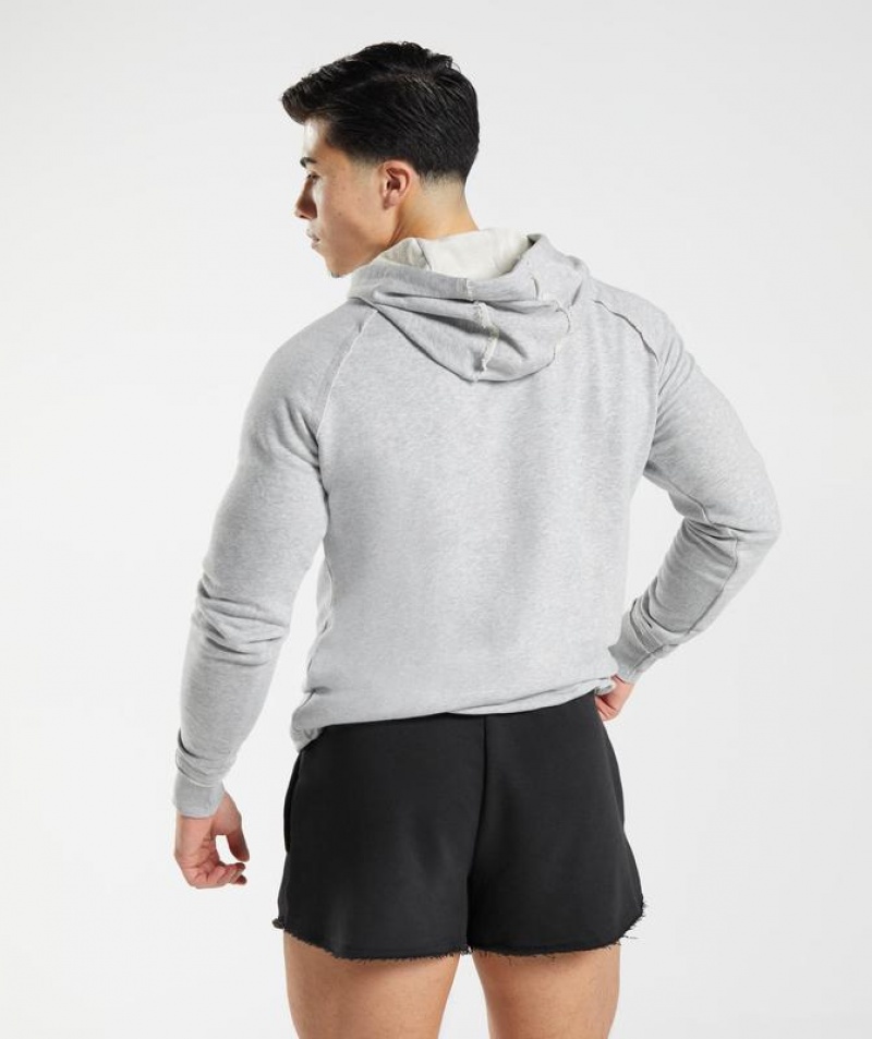 Hoodies Gymshark Legacy Hoodie Gris Claro | UJHIA5149