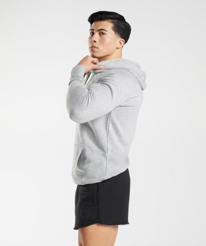 Hoodies Gymshark Legacy Hoodie Gris Claro | UJHIA5149