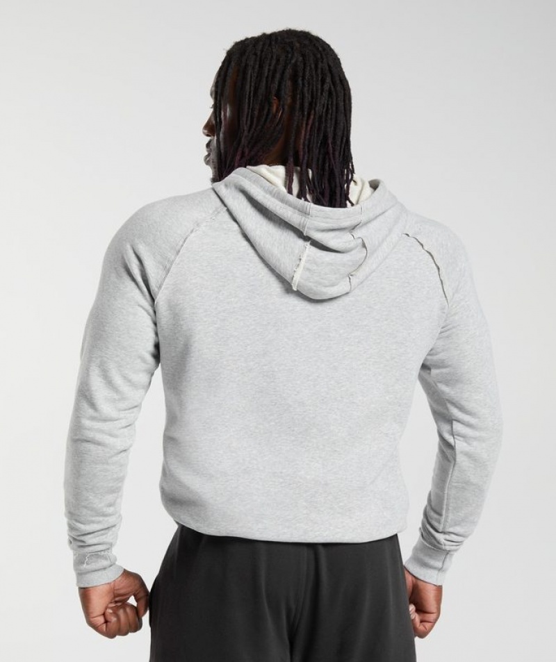 Hoodies Gymshark Legacy Hoodie Gris Claro | WORQF1205