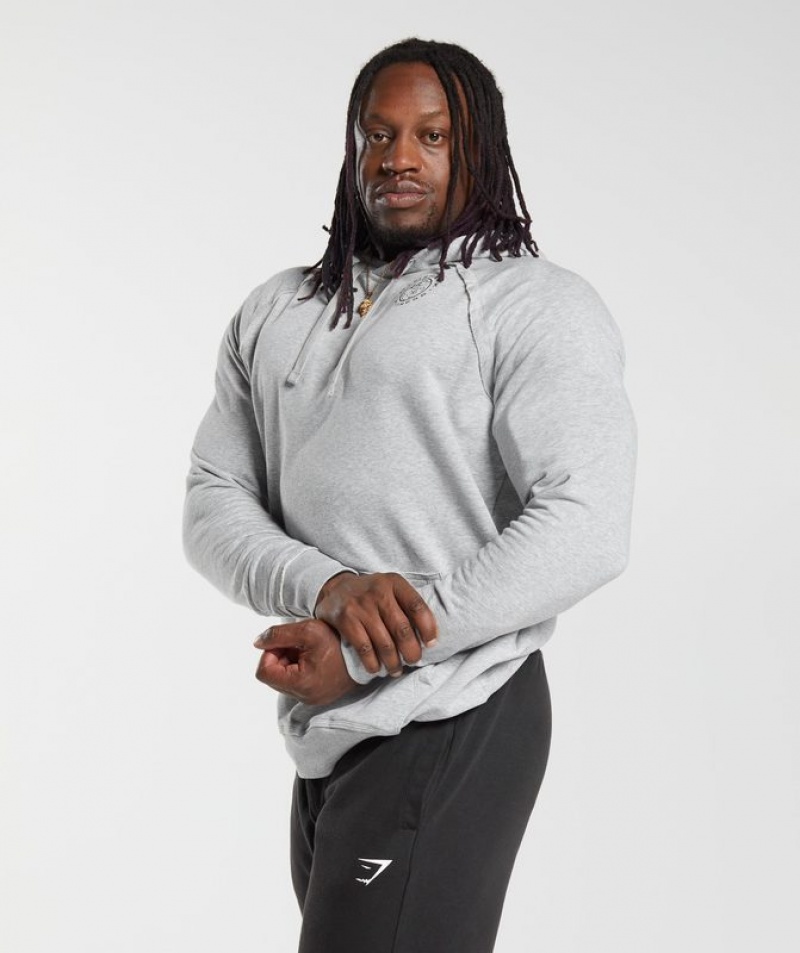 Hoodies Gymshark Legacy Hoodie Gris Claro | WORQF1205