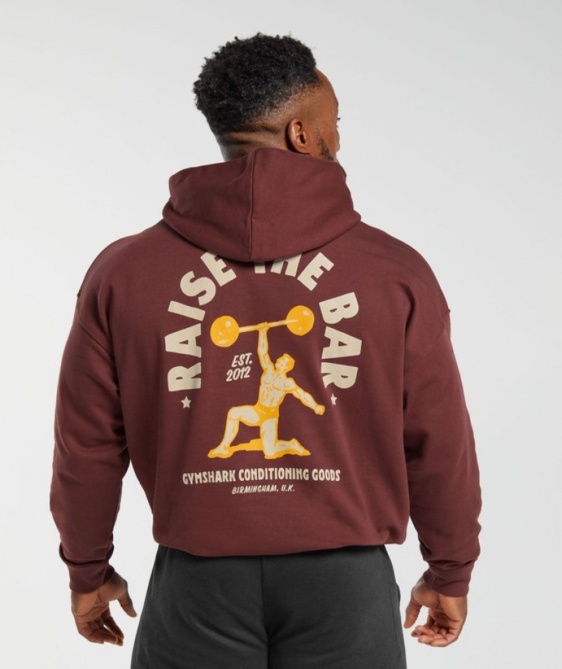 Hoodies Gymshark Raise the Bar Hoodie Burdeos Marrones | MWKXN7149