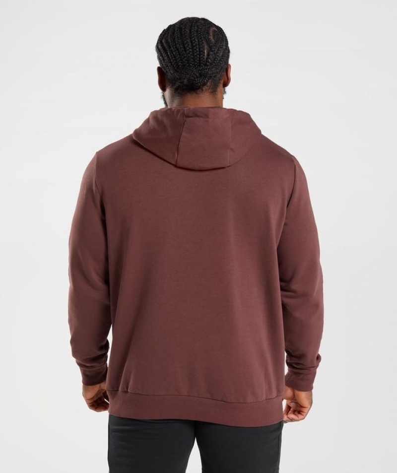 Hoodies Gymshark Sharkhead Infill Hoodie Marrones | MSODK7014