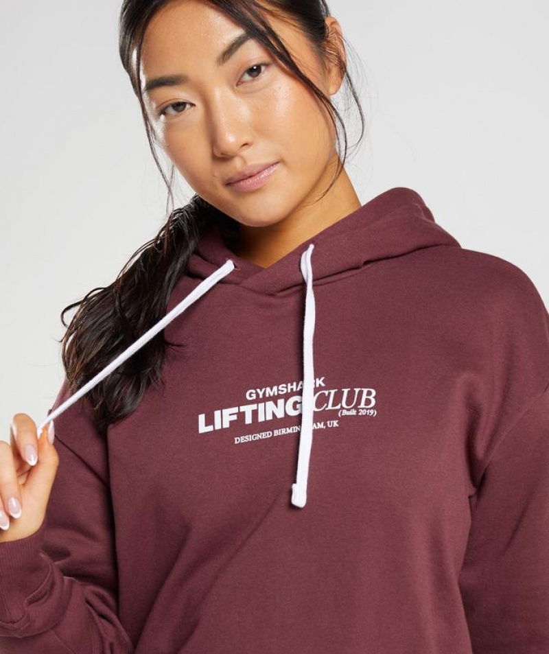 Hoodies Gymshark Social Club Oversized Hoodie Marrones | OTSIP6730