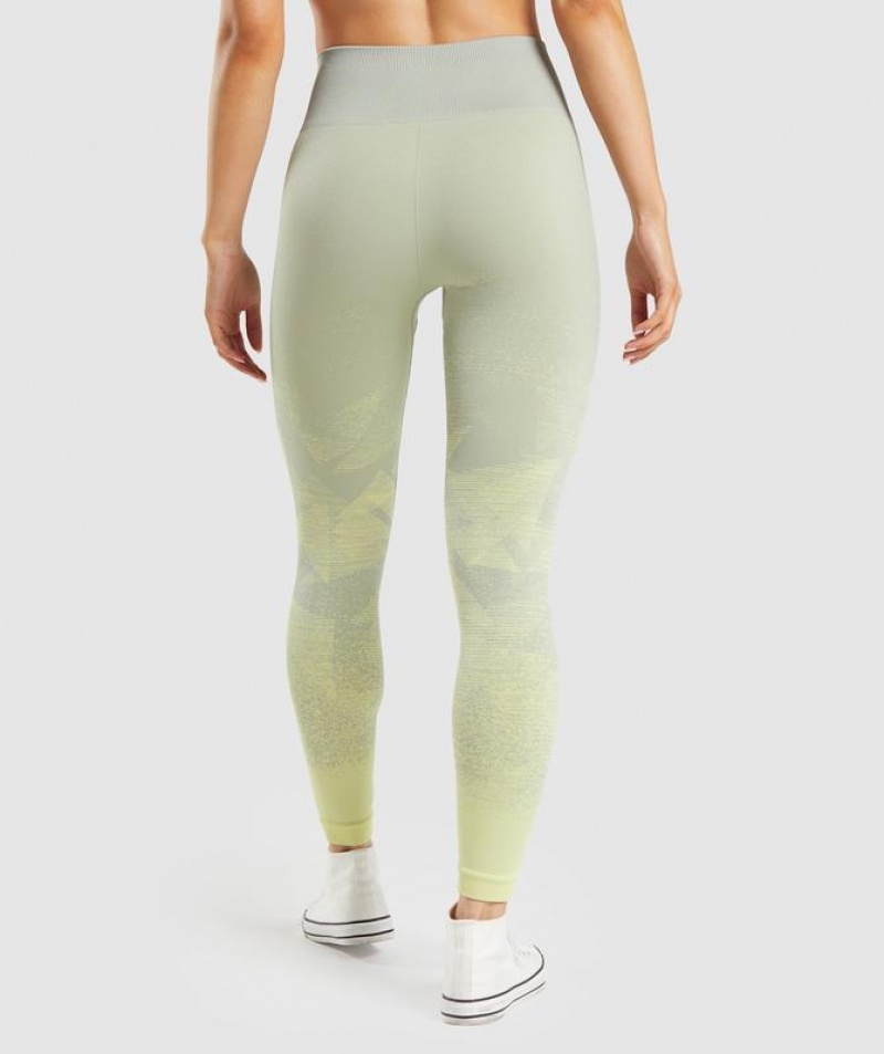 Leggins Gymshark Adapt Ombre Seamless Leggings Gris | QHWSX6417