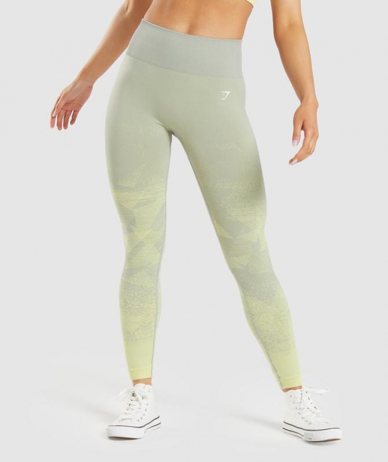 Leggins Gymshark Adapt Ombre Seamless Leggings Gris | QHWSX6417