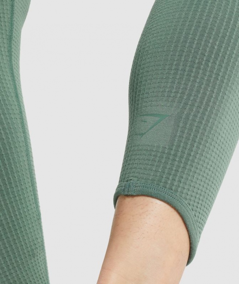 Leggins Gymshark Pause Seamless Leggings Verde | IUARN9268