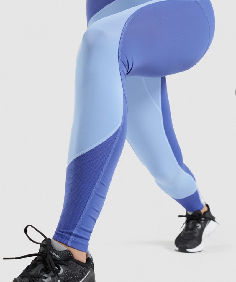 Leggins Gymshark Pulse Mesh Leggings Court Blue/Moonstone Blue/White | ILOXJ3097