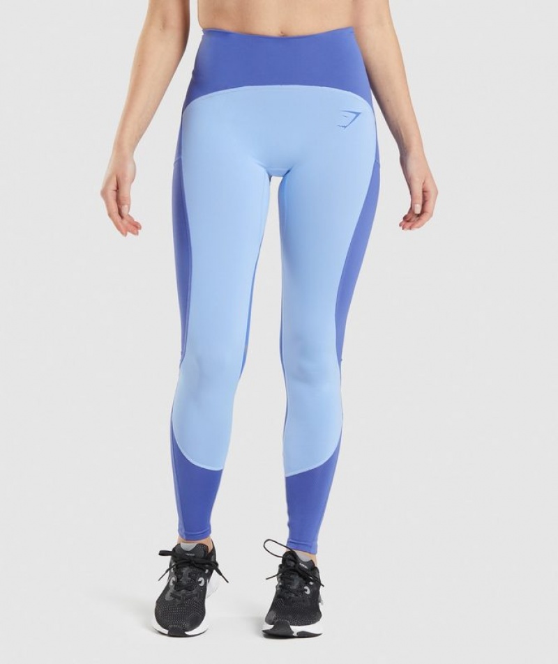 Leggins Gymshark Pulse Mesh Leggings Court Blue/Moonstone Blue/White | ILOXJ3097