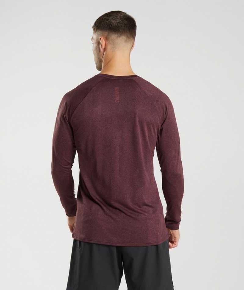 Long Sleeve Top Gymshark Apex Long Sleeve T-Shirt Marrones | GTDIX6098