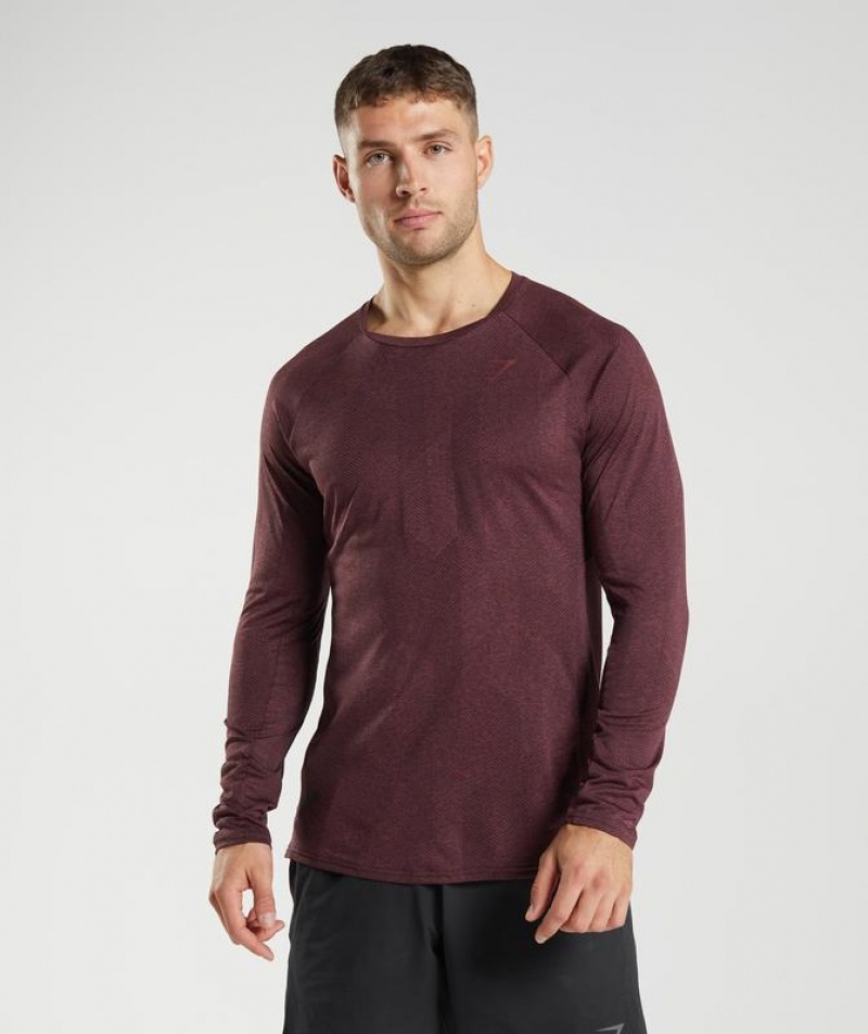 Long Sleeve Top Gymshark Apex Long Sleeve T-Shirt Marrones | GTDIX6098