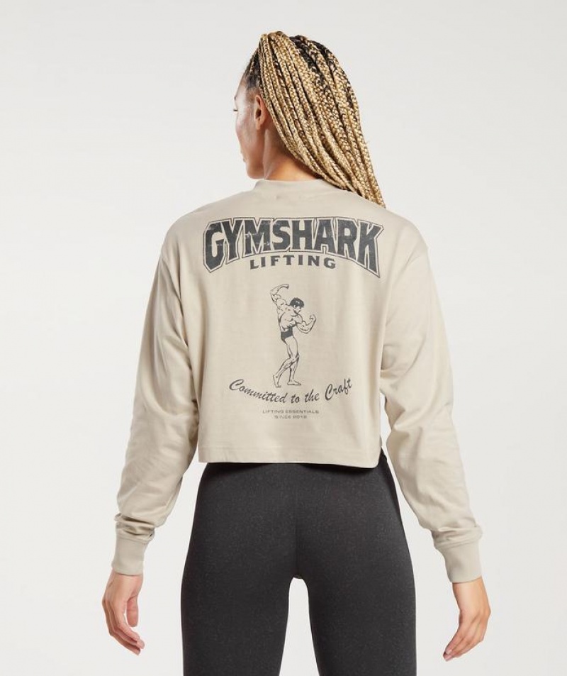 Long Sleeve Top Gymshark Committed To The Craft Long Sleeve Top Marrones | YQKWU1630