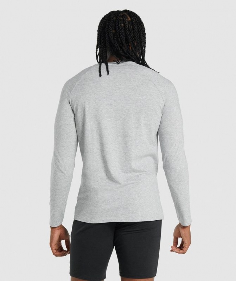 Long Sleeve Top Gymshark Critical 2.0 Long Sleeve T-Shirt Gris Claro | ZDIBG1483