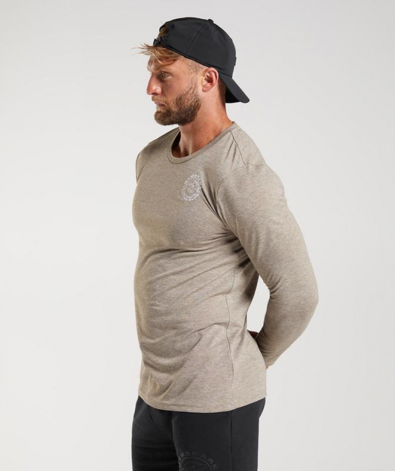 Long Sleeve Top Gymshark Legacy Long Sleeve T-Shirt Limestone Marl | NELWY0132