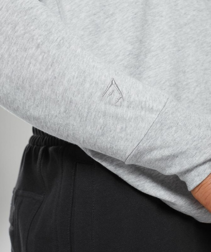 Long Sleeve Top Gymshark Rest Day Essentials Henley Gris Claro | ONUBK4592