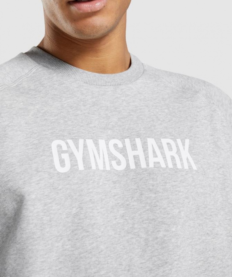 Pullovers Gymshark Apollo Crew Gris Claro | PQANF6198