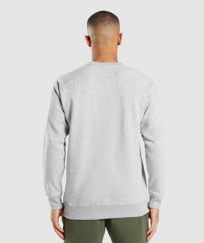 Pullovers Gymshark Apollo Crew Gris Claro | IFSBQ1028