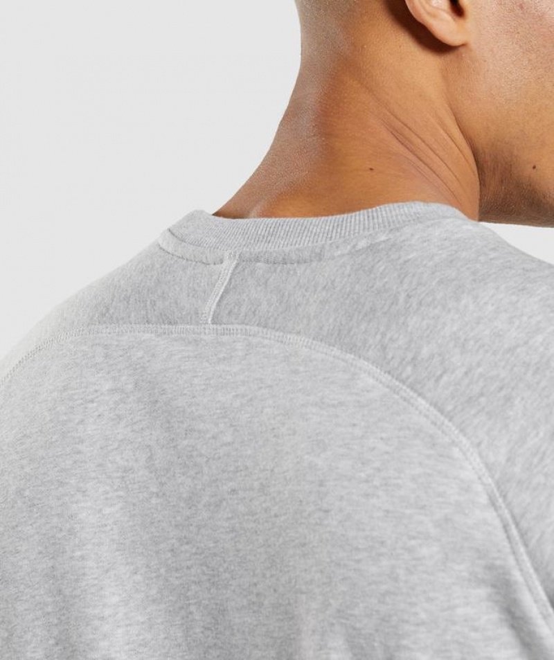 Pullovers Gymshark Apollo Crew Gris Claro | IFSBQ1028