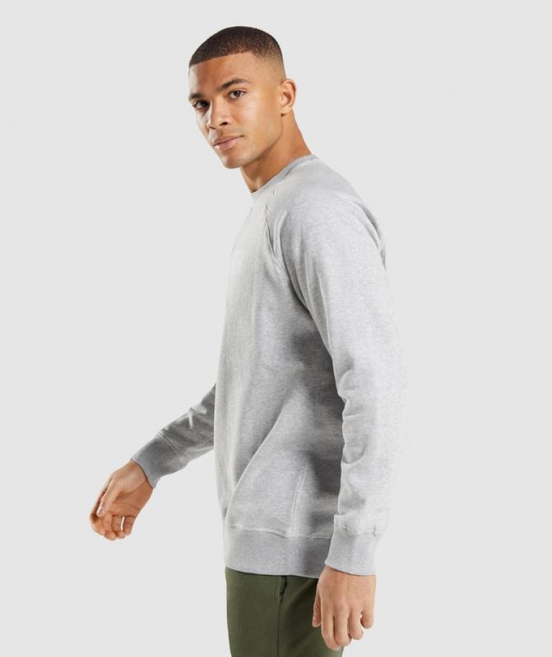 Pullovers Gymshark Apollo Crew Gris Claro | IFSBQ1028