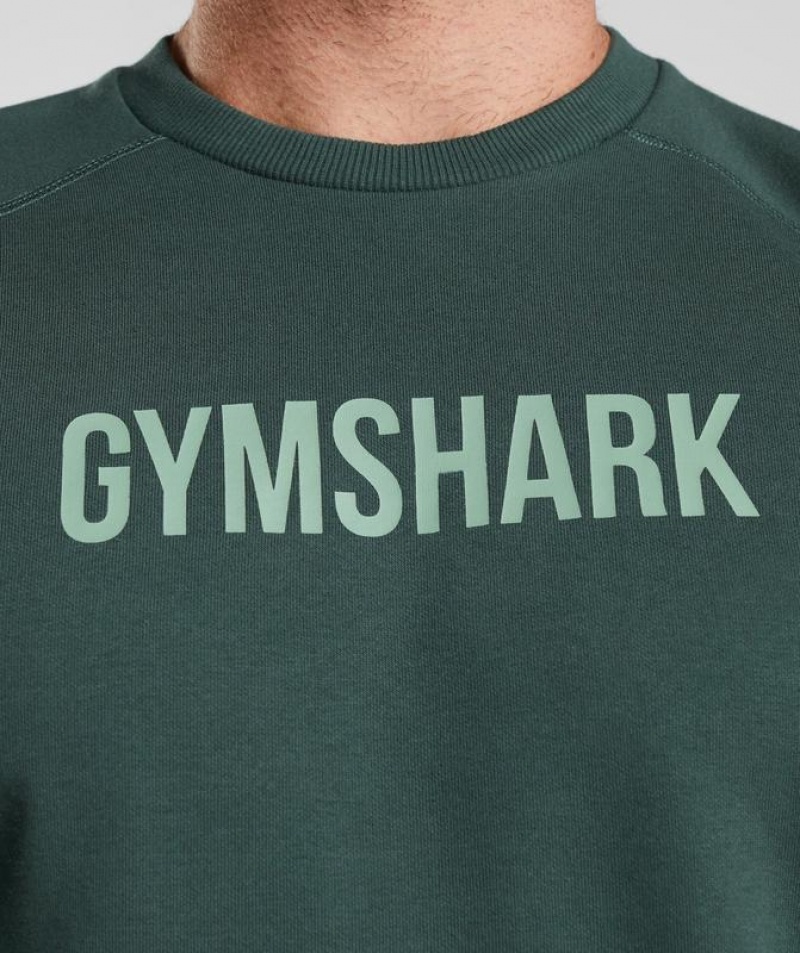 Pullovers Gymshark Apollo Crew Obsidian Verde | UBQEO9601