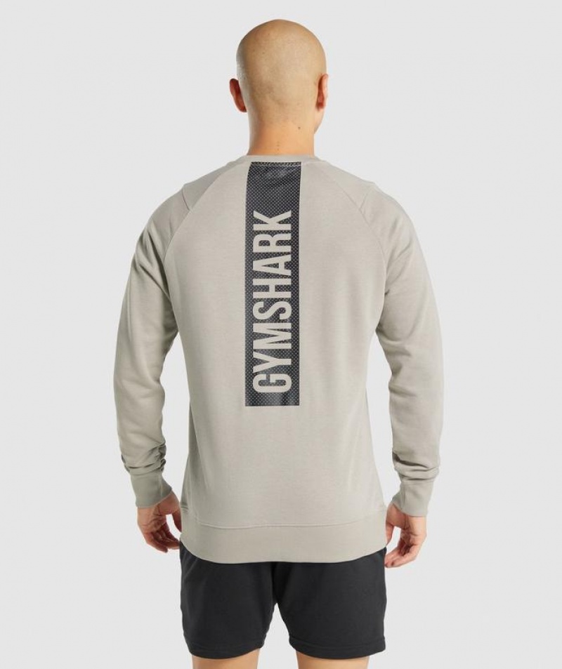 Pullovers Gymshark Bold Crew Gris | YOBIL2504