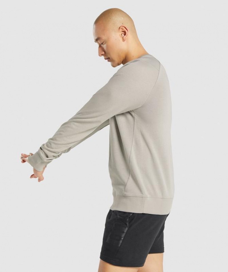 Pullovers Gymshark Bold Crew Gris | YOBIL2504