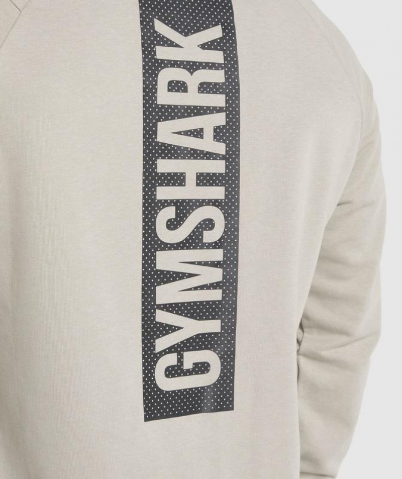 Pullovers Gymshark Bold Crew Gris | YOBIL2504