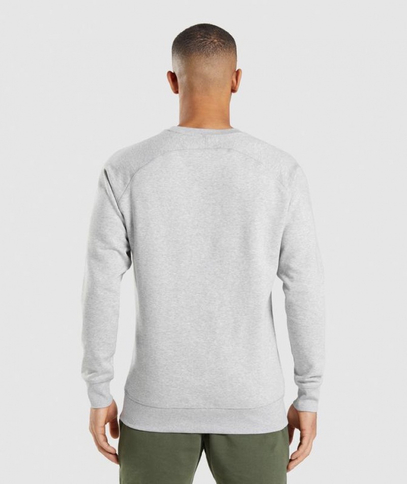 Pullovers Gymshark Crest Sweatshirt Gris Claro | QHCOT6549