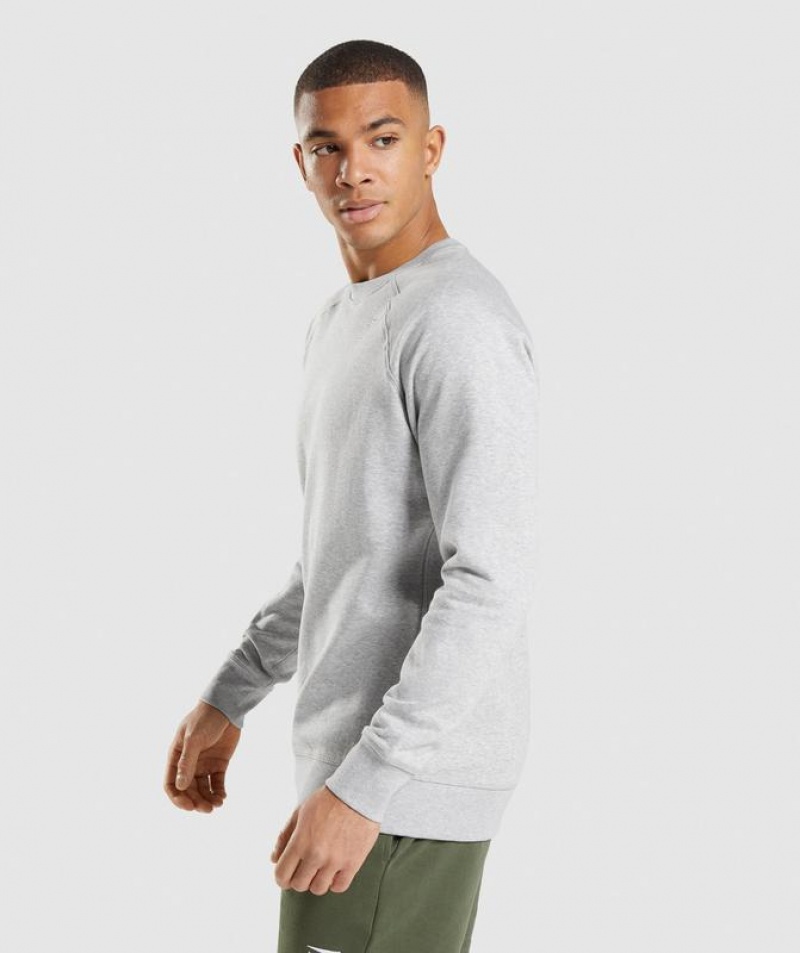 Pullovers Gymshark Crest Sweatshirt Gris Claro | QHCOT6549