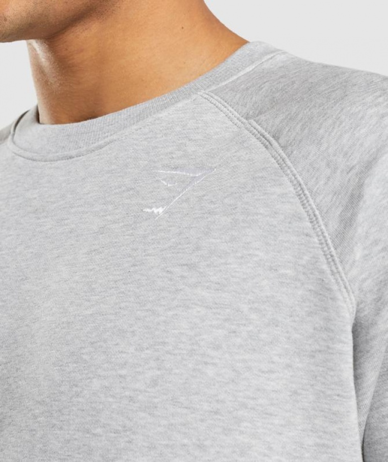 Pullovers Gymshark Crest Sweatshirt Gris Claro | QHCOT6549