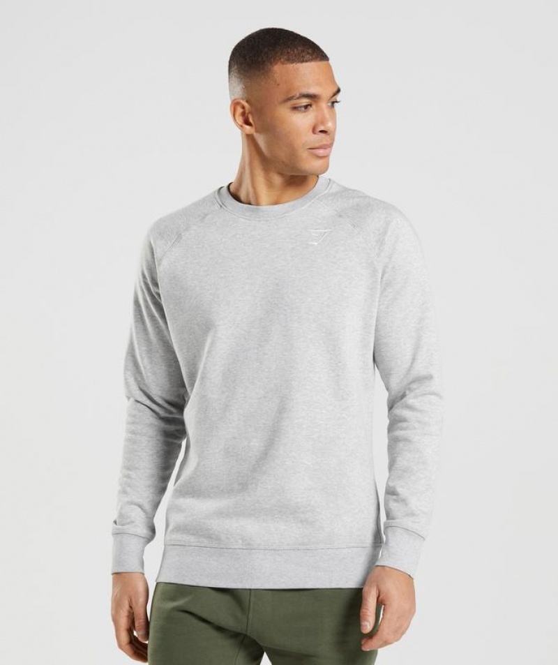 Pullovers Gymshark Crest Sweatshirt Gris Claro | QHCOT6549