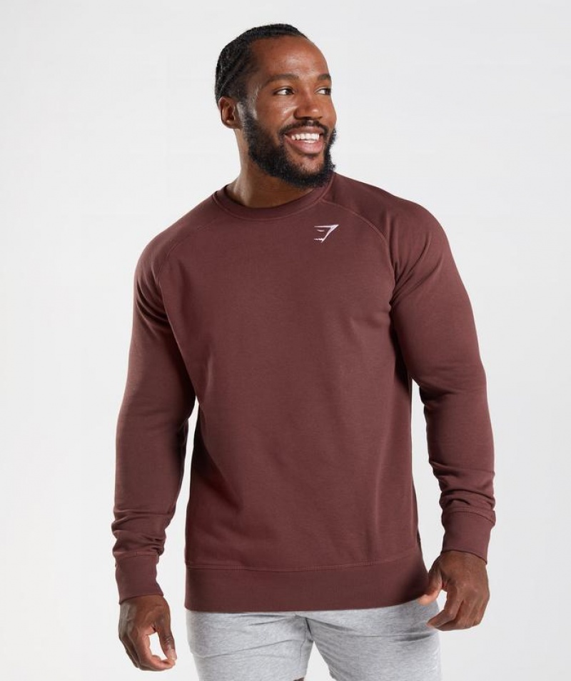 Pullovers Gymshark Crest Sweatshirt Marrones | EPZKI5831