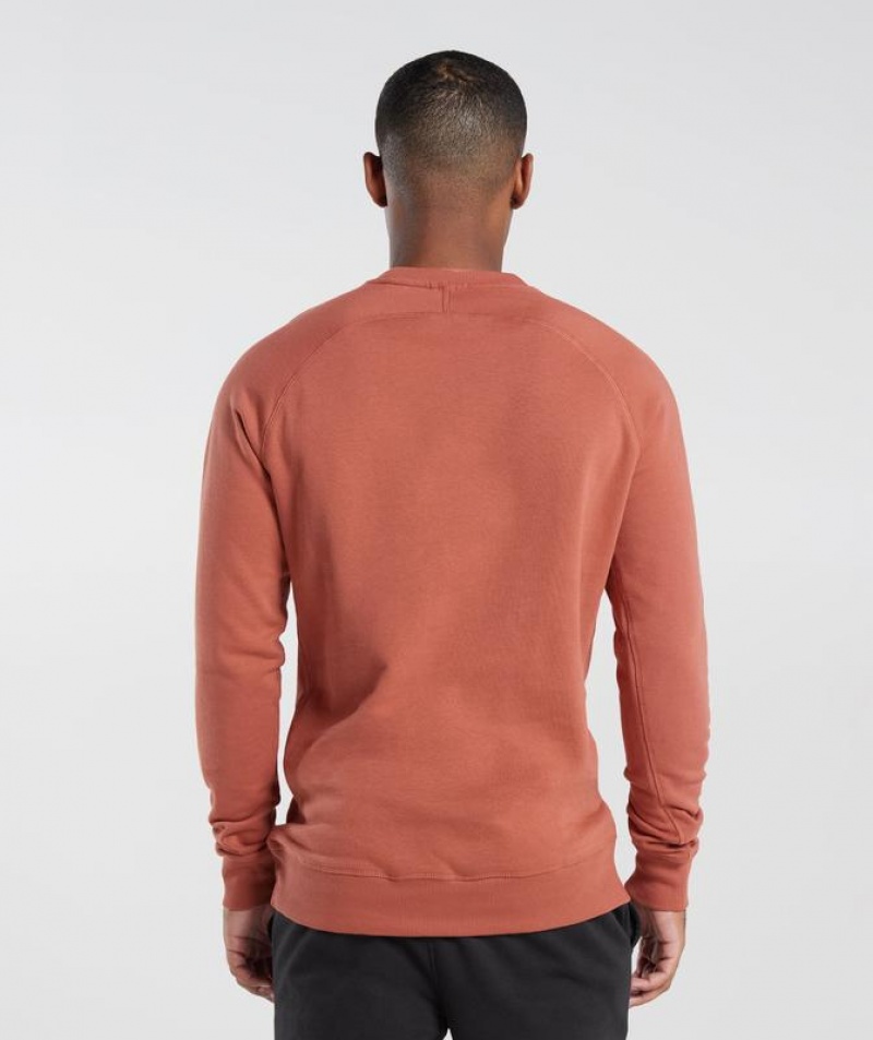 Pullovers Gymshark Crest Sweatshirt Rojas | WYEZM0864